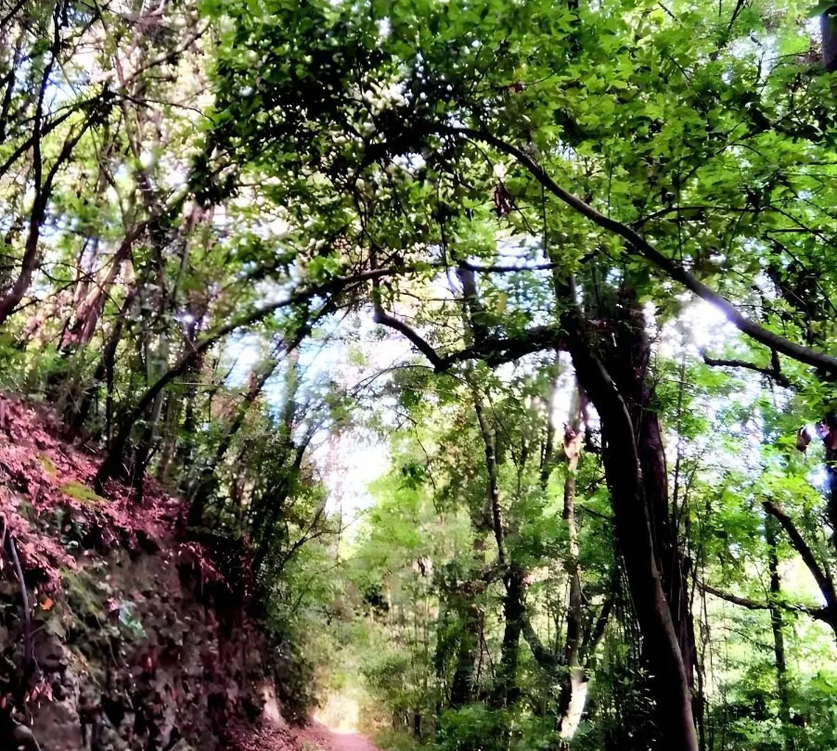 타코론테 Casa Mela 빌라